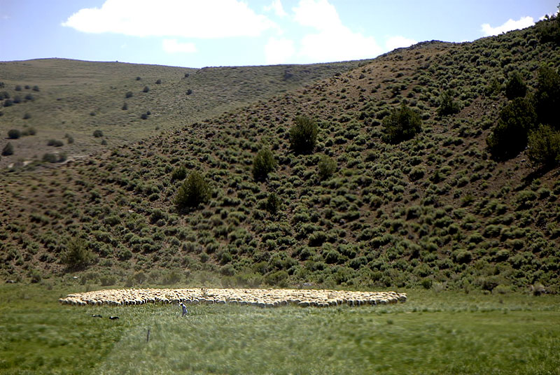 cuzco mural